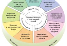 Photo of Экологические услуги и их значимость в современном мире
