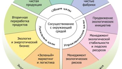 Photo of Экологические услуги и их значимость в современном мире