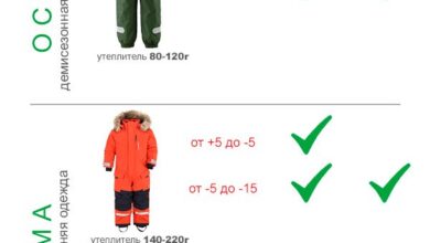 Photo of Основы выбора плотности флисовой одежды