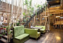 Photo of Паназиатская и японская кухня в Москве: новые возможности с Menza