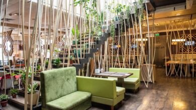 Photo of Паназиатская и японская кухня в Москве: новые возможности с Menza